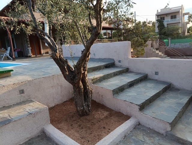 Outdoor pool with surrounding area, Artemida